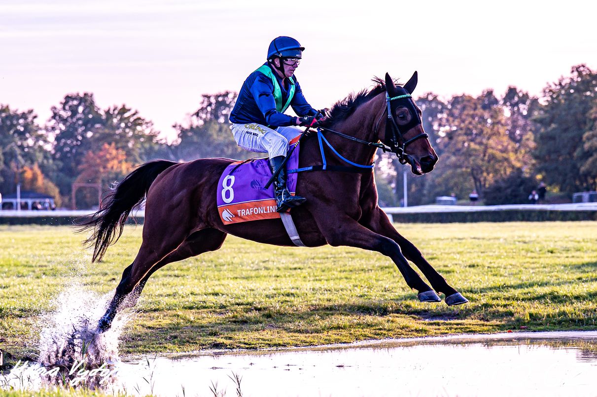 DSC_2737 kopie.jpg